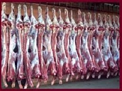 Продажа мяса оптом различных видов от Компании «ТК «Вектор»