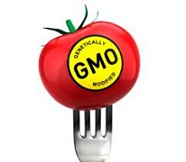 В РФ утвердждён порядок госрегистрации ГМО