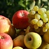 Цельные фрукты снижают риск диабета