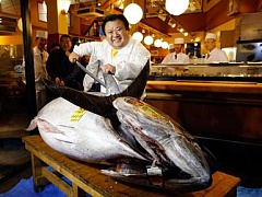 Рекордная цена за тунца в Токио
