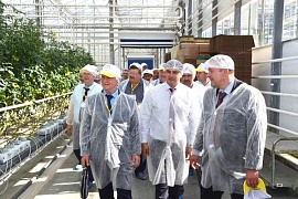 АПХ «ЭКО-культура» принимает гостей. Сотрудники Россельхозцентра посетили тепличный комплекс «Солнечный дар»