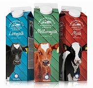 Молочная упаковка с телятами от Amore 
