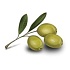 Оливки стали причиной ботулизма