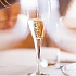 Посвящение в мир CHAMPAGNE