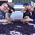 Городское виноделие в США