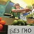13 вопросов и ответов про ГМО