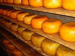 Россельхознадзор закроет половину импорта голландского сыра