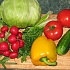 Одиннадцать стран требуют ввести запрет на продукты из ГМО