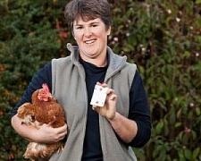 Британская курица за порцию еды научилась считать до восьми