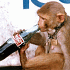 Канцерогенная Coca-Cola