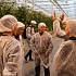 АПХ «ЭКО-культура» продолжает делиться опытом с будущими аграриями