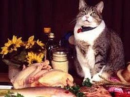 Сырая еда для кошки