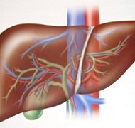 Как заболевания печени влияют на внешность?