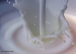 Афлатоксин в китайском молоке