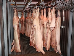 Оптовые поставки мяса во все регионы РФ