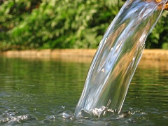 Приснилась ключевая вода