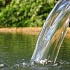 Приснилась ключевая вода