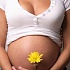 Цинк в питании беременной женщины