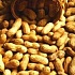 Целебные свойства арахисового масла