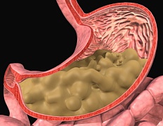 Переход химуса из желудка в кишечник.