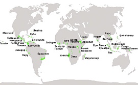 Карта стран-производителей кофе